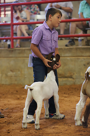 East Texas State Fair - Goat Showmanship-026