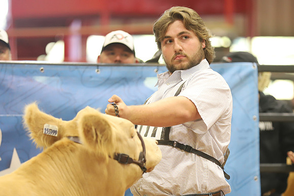 East Texas State Fair - Steer Show-068