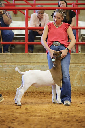 East Texas State Fair - Goat Show-117