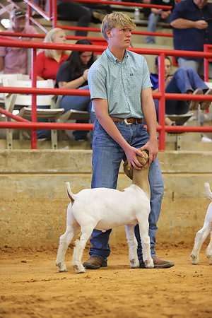 East Texas State Fair - Goat Show-069