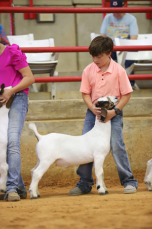 East Texas State Fair - Goat Show-050