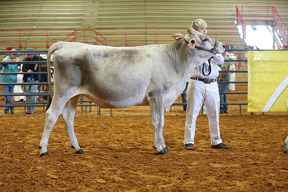 East Texas State Fair - Dairy Show-355