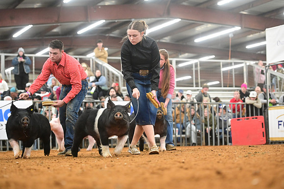 AMC_4633