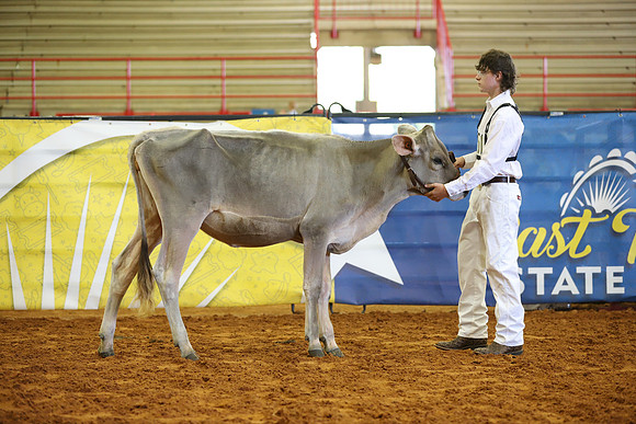 East Texas State Fair - Dairy Show-376