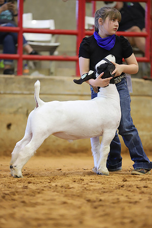 East Texas State Fair - Goat Show-017