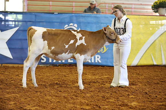 East Texas State Fair - Dairy Show-390