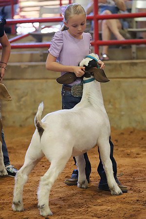 East Texas State Fair - Goat Showmanship-025