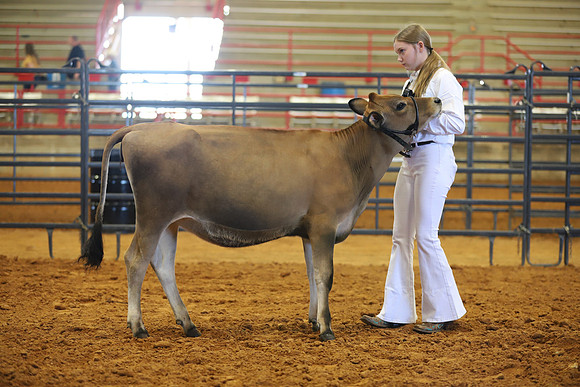 East Texas State Fair - Dairy Show-106