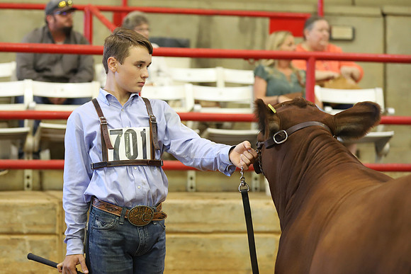 EastTexasStateFair-JBBAHeiferShowmanship-32