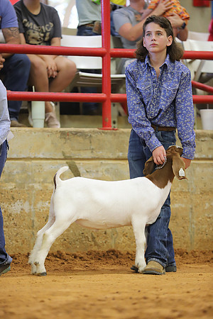 East Texas State Fair - Goat Show-092