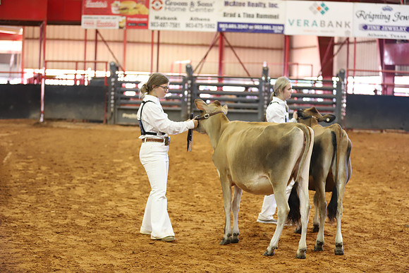 East Texas State Fair - Dairy Show-166