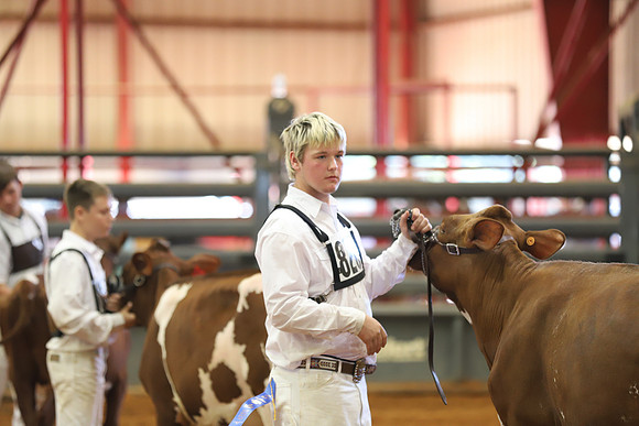 East Texas State Fair - Dairy Show-207