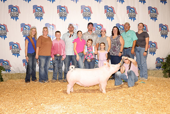 Pig Backdrop 1