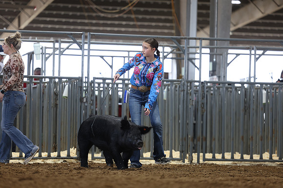 J63A3604