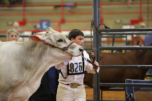 East Texas State Fair - Dairy Show-014
