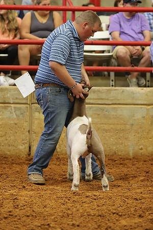 East Texas State Fair - Goat Showmanship-148