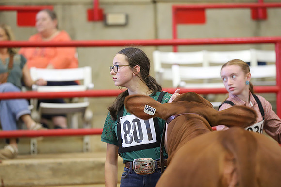 EastTexasStateFair-JBBAHeiferShowmanship-24