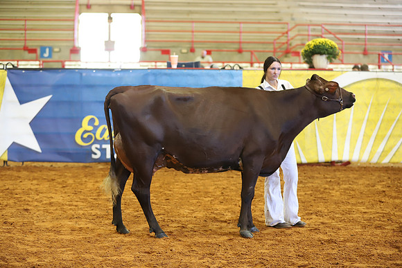 East Texas State Fair - Dairy Show-189