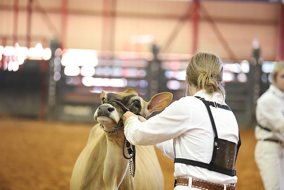 East Texas State Fair - Dairy Show-164