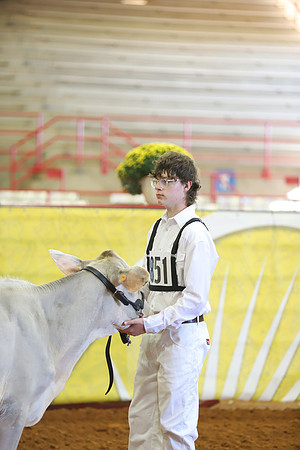 East Texas State Fair - Dairy Show-352