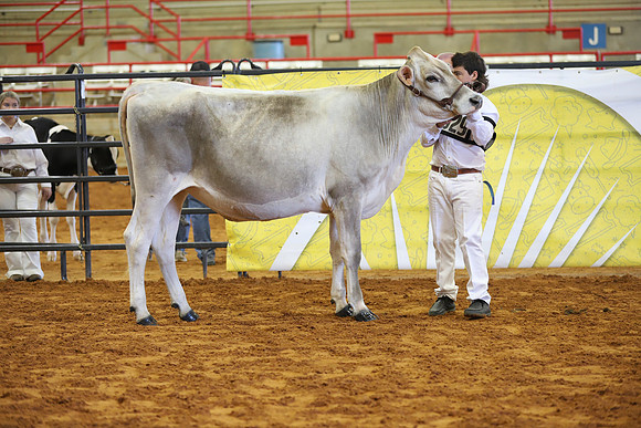 East Texas State Fair - Dairy Show-361