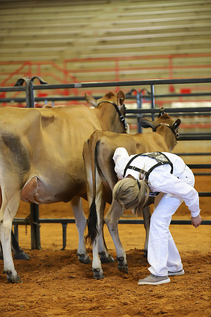 East Texas State Fair - Dairy Show-067