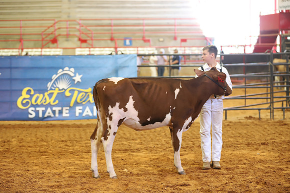 East Texas State Fair - Dairy Show-185