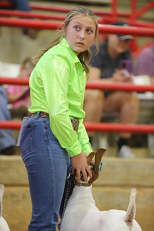 East Texas State Fair - Goat Show-123