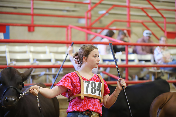 EastTexasStateFair-JBBAHeiferShowmanship-08