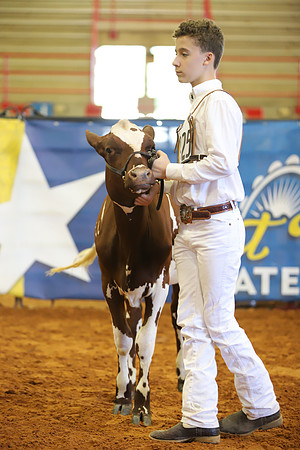 East Texas State Fair - Dairy Show-264