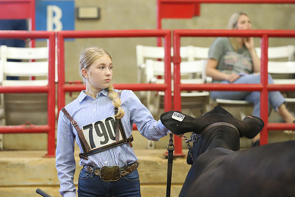 EastTexasStateFair-JBBAHeiferShowmanship-33
