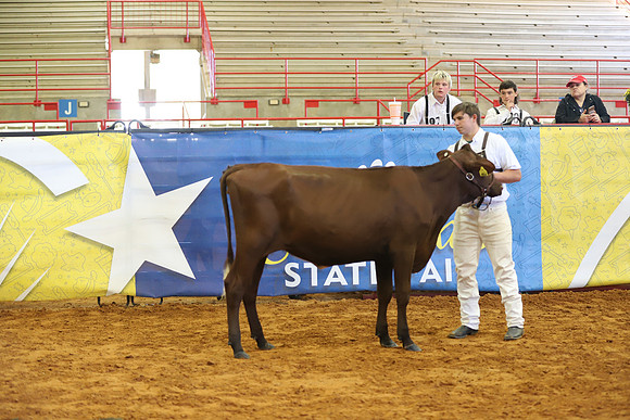 East Texas State Fair - Dairy Show-239