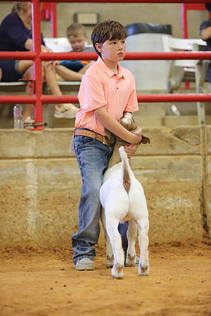 East Texas State Fair - Goat Show-083