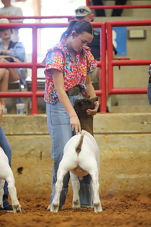 East Texas State Fair - Goat Showmanship-145