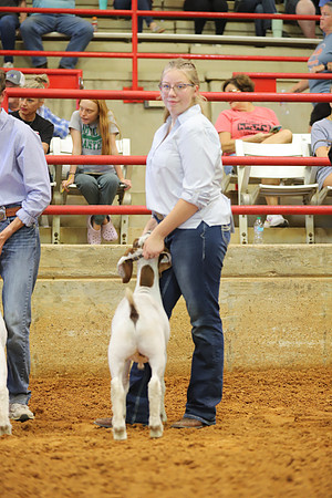 East Texas State Fair - Goat Showmanship-151