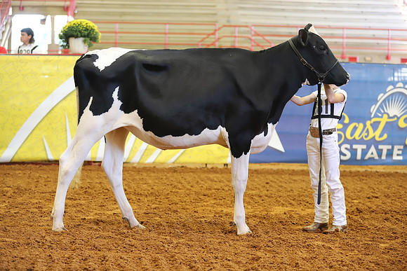 East Texas State Fair - Dairy Show-302