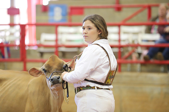 East Texas State Fair - Dairy Show-152