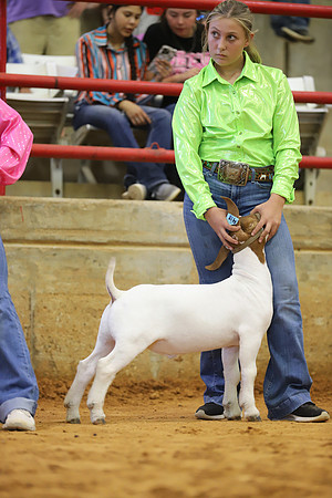 East Texas State Fair - Goat Show-112