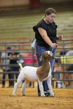 East Texas State Fair - Goat Show-005