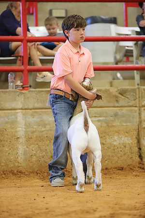 East Texas State Fair - Goat Show-082