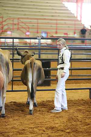 East Texas State Fair - Dairy Show-071