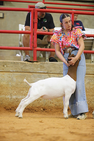 East Texas State Fair - Goat Show-038