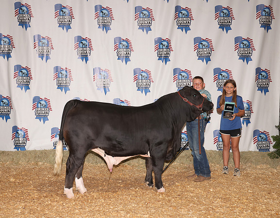 Steer Backdrop 1
