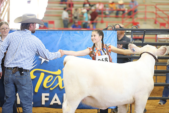 EastTexasStateFair-BritishHeifers-004