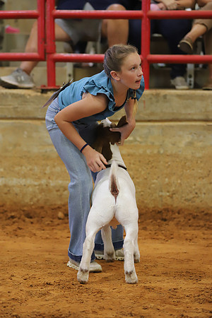 East Texas State Fair - Goat Showmanship-035