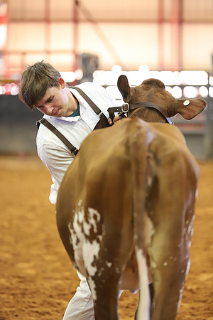 East Texas State Fair - Dairy Show-258