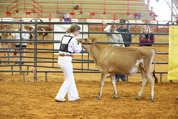 East Texas State Fair - Dairy Show-174
