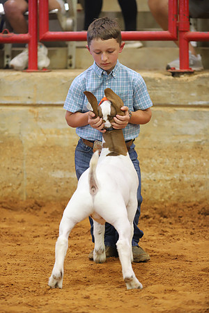 East Texas State Fair - Goat Showmanship-098