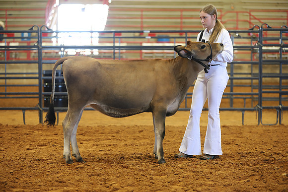 East Texas State Fair - Dairy Show-105