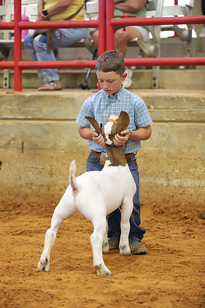 East Texas State Fair - Goat Showmanship-099
